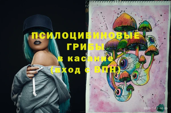 сатива Михайлов