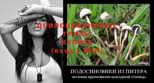 кокс Абдулино