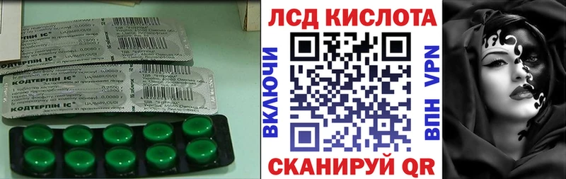 ЛСД экстази ecstasy  darknet наркотические препараты  Фокино 