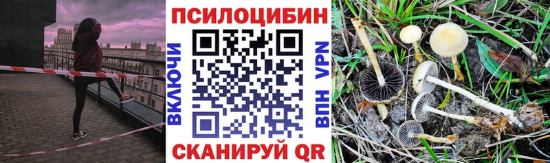 купить закладку  Фокино  Галлюциногенные грибы MAGIC MUSHROOMS 